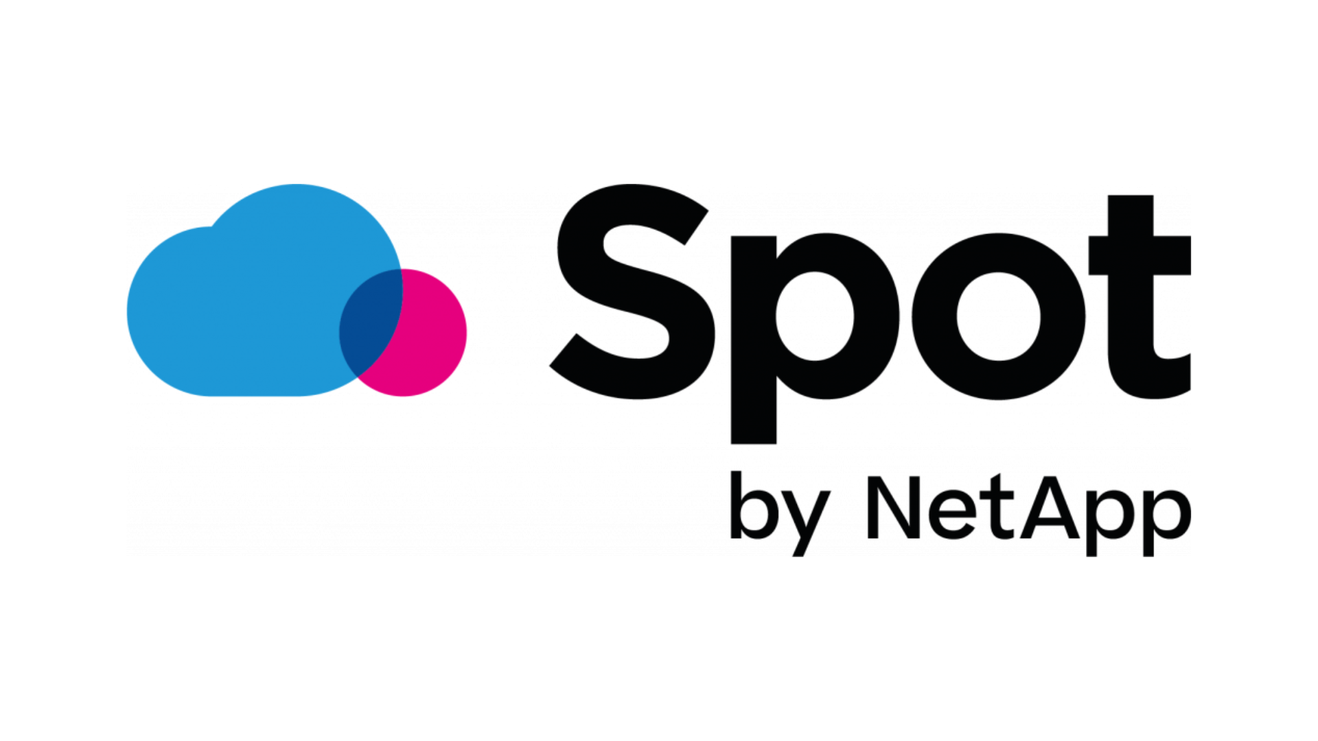 spot by netapp logo